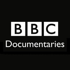 The Most Interesting BBC Documentaries