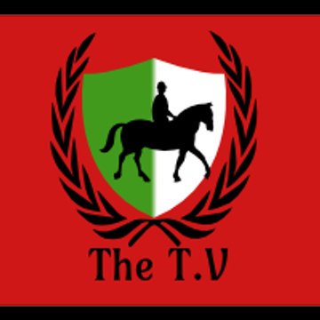 The T.V