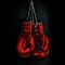 Boxing Fights Videos