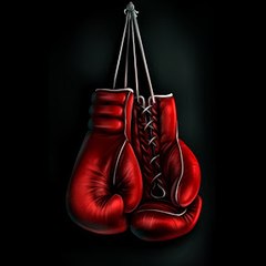 Boxing Fights Videos