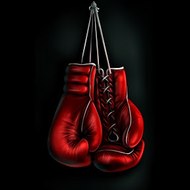 Boxing Fights Videos