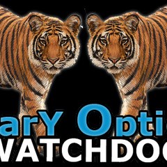 Binary Options WatchDOG
