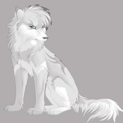 Silverwolf850