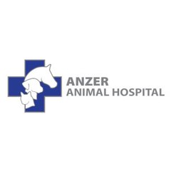 Anzer Animal Hospital