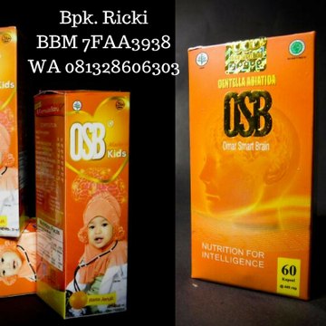 Herbal Otak