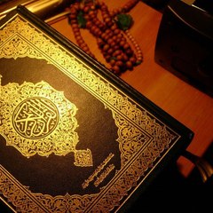 لعلهم يفكرون