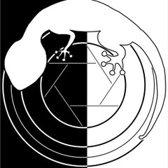 Sargantana Entertainment