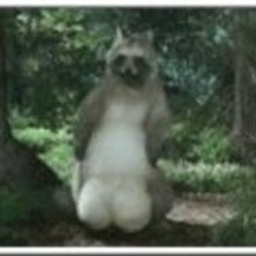 tony le tony au sharingan