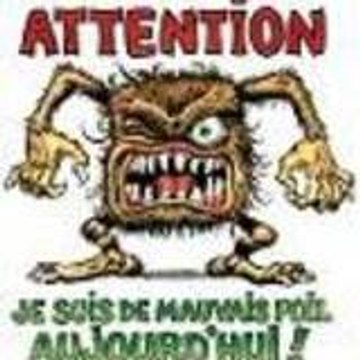 Calou33