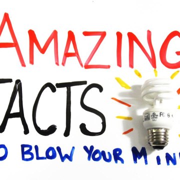 Incredible Facts for you