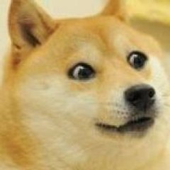 Darktaiga03