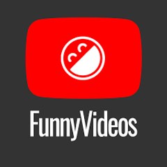 Funny Videos