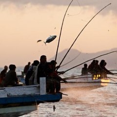 YouTubeFISHINGVIDS