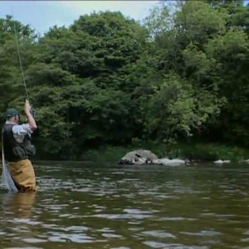 WildCatchTV