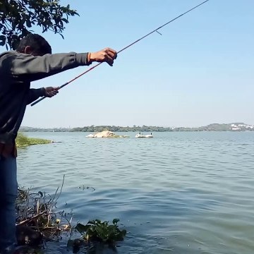 Match Fishing Films