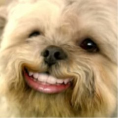 RedForDeath Balgruuf