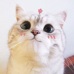 hieunguyen