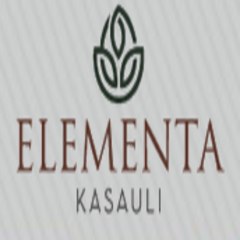 Elementa Kasauli