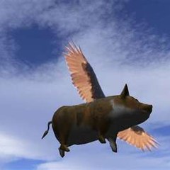 cheep media