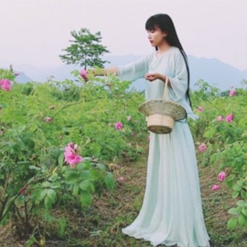 Li Ziqi 李子柒