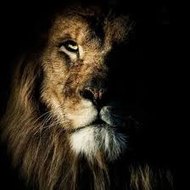 Canal prenúncio dos tempos