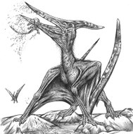 Pteranodon Sternbergi