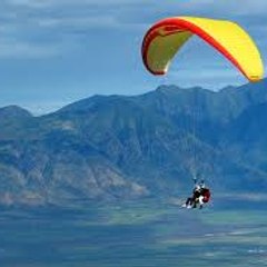 amazing videos