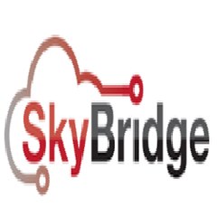 SkyBridge Pro