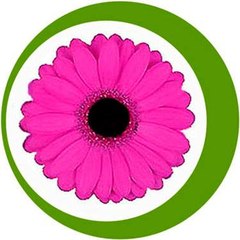 La tienda de las flores