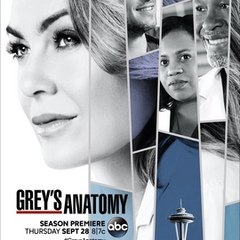 Grey's Anatomy Season 14 || HD Video