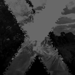 XNVC