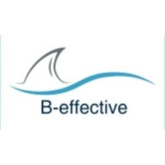 B-EFFECTIVE