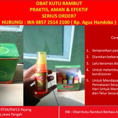 Obat Kutu Rambut Paling Ampuh