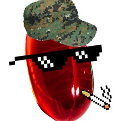 Red Pill Radio