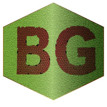 BG Marketing