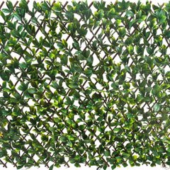 Designer Vertical Gardens
