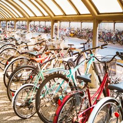 Cycle Shelters Cambridge