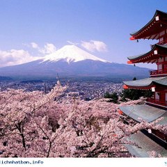Japan New Channel