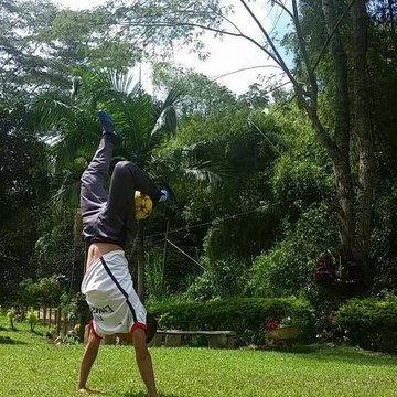 Freestyle F22