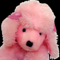 Pink Dog Music