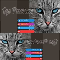 les pachas