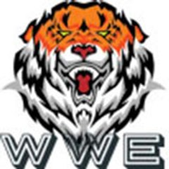 Wrestling Entertainment