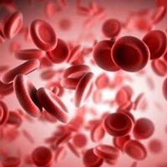 PRP Therapy