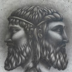Janus Model