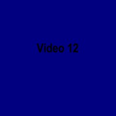 Video 12