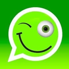 whatsapp brasil