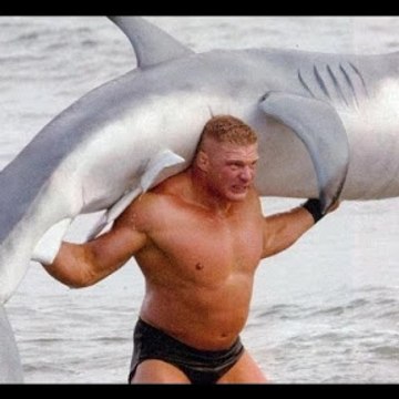 THE FANNIEST FAILS VIDEOS 2017