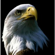 แหล่งรวม สารคดี