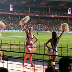 Crindiaka cricket