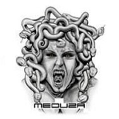 Meduza Design Ltd - Bespoke Automotive Conversions